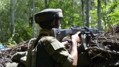 जम्मू-कश्मीर में पिछले साल मारे गए 187 आतंकी, गिरफ्तारी के आंकड़ों में हुई बढ़ोतरी