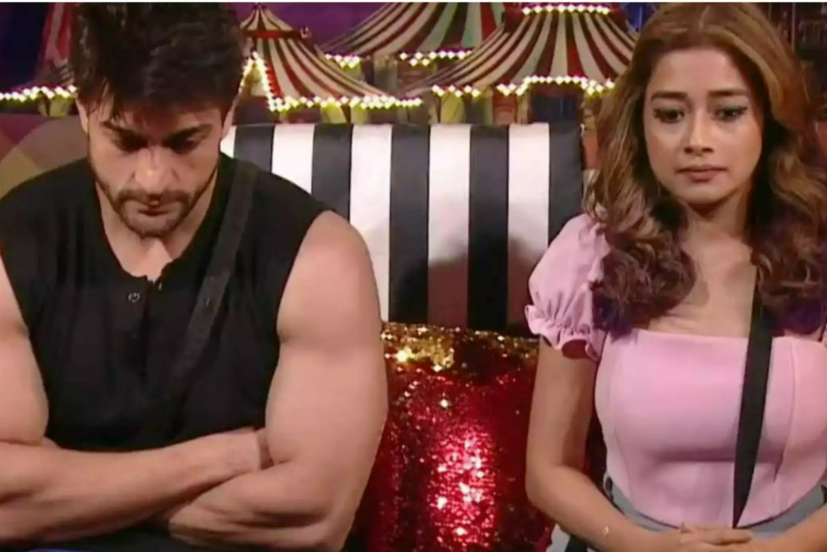 Big Boss 16: Tina Datta Claims Shalin Bhanot Attempted to Hit Her Once