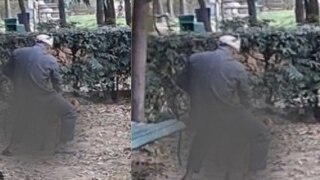On Camera: Delhi Man Caught Raping Stray Dog; Police Not Filing FIR Say Animal Activists