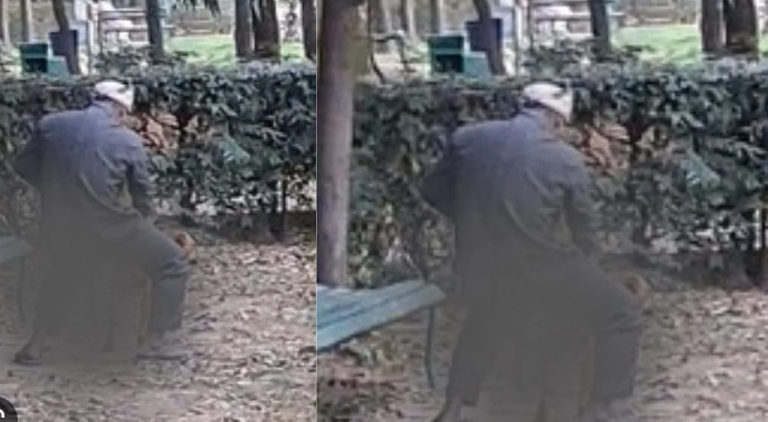 On Camera: Delhi Man Caught Raping Stray Dog; Police Not Filing FIR Say Animal Activists