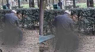 On Camera: Delhi Man Caught Raping Stray Dog; Police Not Filing FIR Say Animal Activists