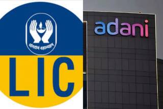 Has LIC's Investment In Adani Group Turned Negative? EXPLAINED