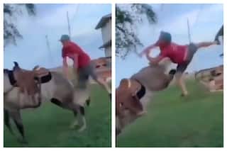 Man Wanted To Climb Horse From Tail Side Like A Cowboy But Stallion Had PLANS For Him | Watch Viral Video
