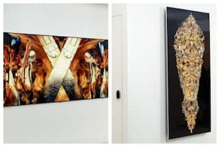 LG Electronics Showcases NFT Artworks Via OLED Evo TVs