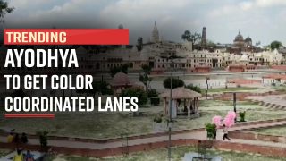 Ram Mandir's Construction And Redevelopment In Full Swing, Buildings And Maths To Be Colored - Watch Video