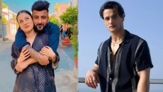 Shehnaaz Gill’s Brother Shehbaz Makes Fun of Asim Riaz After he Stated Sidharth Shukla’s BB 13 Win Was Planned