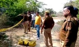 india.com top news