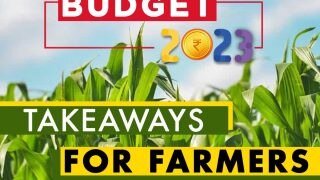 Agriculture Budget 2023: Government To Set Decentralised Storage Capacities, Promote Agri Startups