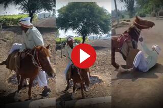 Chachaji Ka Video: खुशी-खुशी गधे पर सवार हो गए चाचाजी, तभी घुमाकर ऐसा पटका दांत बाहर आ गए- देखें वीडियो