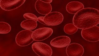 Health Budget 2023: What is Sickle Cell Anaemia? Why is There a Mission to Eradicate This by 2047?