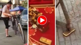 Viral Video: साइकिल का बैलेंस बिगड़ा तो खरीद लाया सोने की ईंट, देखने वालों के होश ही उड़ गए | देखिए वीडियो