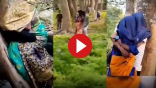 Premi Premika Ka Video: जंगल में हर पेड़ पर चिपका मिला कपल, घूमने गए सैलानी भी हिल गए- देखें वीडियो