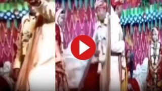 Dulhe Ka Video: जयमाला होते ही फॉर्म में आ गया दूल्हा, फिर स्टेज पर जो किया ससुराल वाले भी हिल गए- देखें वीडियो