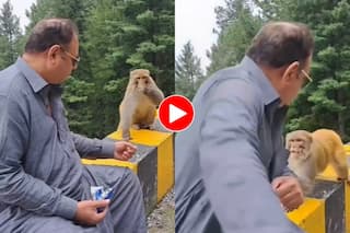 Bandar Ka Video: शख्स ने की बेइज्जती तो भड़क गया बंदर, ऐसा रूप दिखाया हालत पतली हो गई- देखें वीडियो