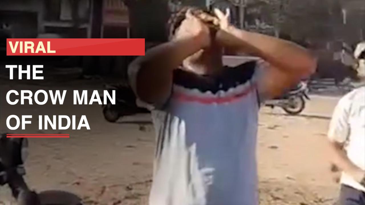 Viral Video: Man Makes Unique Sounds, Fills Sky With Flock Of Crows, Fascinating Video Goes Viral | Watch