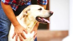 इंसानों की तरह पालतु कुत्तों को भी पड़ती है टेस्टिंग की जरूरत, समय पर हो सकती है बीमारियों की पहचान