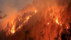 चिली के जंगलों में लगी भीषण आग, 13 लोगों की मौत; हजारों एकड़ में फैले वनों को नुकसान