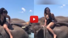 Ladki Aur Hathi Ka Video: हाथी ने लड़की से किया ऐसा मजाक, बेचारी के होश ही उड़ गए | देखें ये फनी वीडियो