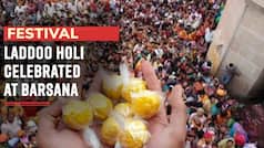 Festival 2023: Ladoo Holi Celebrated With Traditional Fanfare In Barsana | Watch Video