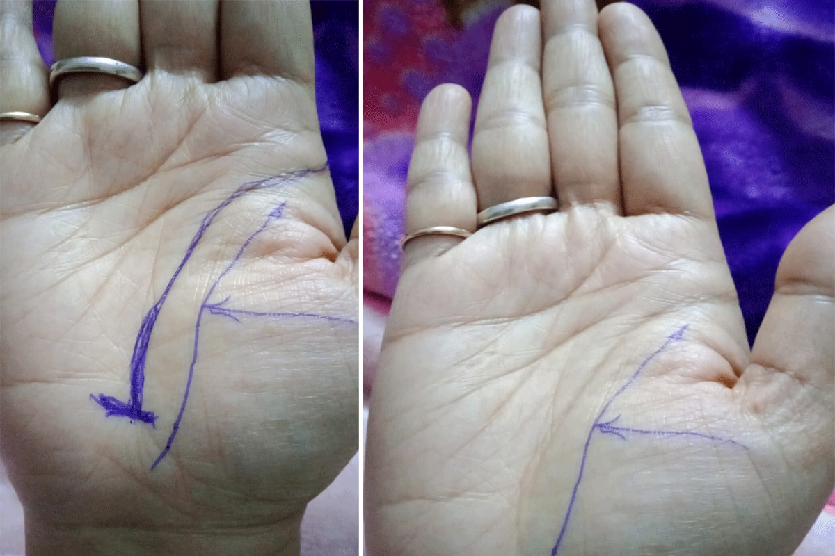 जीवन रेखा को अंत में आड़ी रेखा काट दे तो होगी तत्काल मृत्यु, ये मोड़ बताता हेल्थ है कमजोर...आपकी रेखाएं क्या कहती हैं?