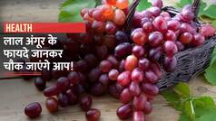 Benefits of Red Grapes: जानिए लाल अंगूर खाने से शरीर को मिलते हैं क्या फायदे?