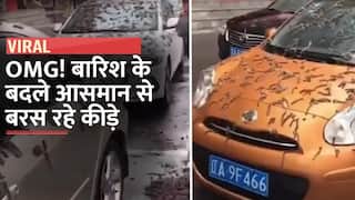 Worms Rain Video: बीजिंग में हो रही कीड़ों की बारिश, घर से छाता लेकर निकलते दिखे लोग | Watch Video