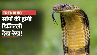 Cobra Digital Snake: अब सपेरों को देनी होगी सांपों की जानकारी, जानें कैसे होगी डिजिटली देख-रेख | Watch Video