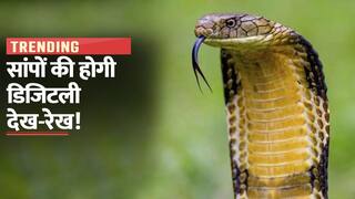 Cobra Digital Snake: अब सपेरों को देनी होगी सांपों की जानकारी, जानें कैसे होगी डिजिटली देख-रेख | Watch Video