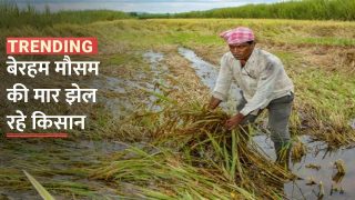 Video: बेरहम मौसम की मार झेल रहे किसान, यूँ जाहीर कर रहे  हैं अपना गुस्सा | Watch Video