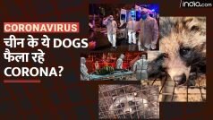 चीन के इन Dogs से फैल रहा Corona! | Coronavirus | China | Watch