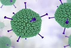 Adenovirus: NCPCR की टीम पहुंची पश्चिम बंगाल के अस्पतालों में, जहां बच्चों की मौत से हड़कंप मच गया था