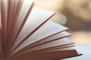 Lucknow Book Fair: लखनऊ बुक फेयर में इस बार होगा कुछ अलग, पुरानी किताबों के बदले मिलेंगी नई किताबें