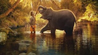 Oscar-Winning 'The Elephant Whisperers' Was Shot at THIS Beautiful Location In Tamil Nadu That Deserves A Visit