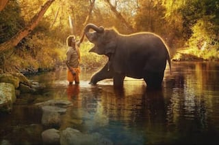 Oscar-Winning 'The Elephant Whisperers' Was Shot at THIS Beautiful Location