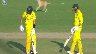 IND vs AUS 3rd ODI: मैच के दौरान बीच मैदान में घुसा कुत्ता, पकड़ने के लिए सिक्योरिटी के छूटे पसीने- VIDEO