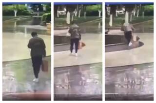 Viral Video: This Is What Mobile Phone Addiction Can Do | A Must Watch