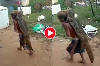 Boy Carries Crocodile On His Back, Netizens Say It's Real Friendship: Watch Viral Video