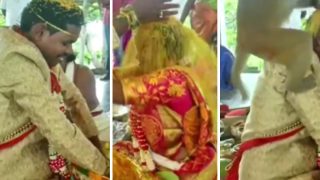 Bride And Groom Are Performing Wedding Ritual, Monkey Spoils Their Party: Watch
