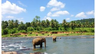 Sri Lanka Earned $169.9 Million From Tourism In February