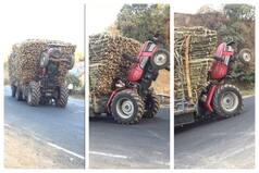 Viral Video: Desi Jugaad! Massive Load Lifts Up Tractor Yet Driver Keeps It Moving