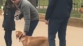 Rishi Sunak Faces Police Heat Again After Video Surfaces Of UK PM Breaking Dog Rule In Hyde Park