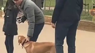 ब्रिटेन के PM ऋषि सुनक ने पार्क में बिना 'चेन' टहलाया कुत्ता तो पुलिस ने दिलाई नियमों की याद