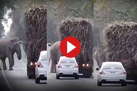 india.com top news
