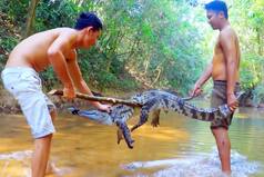 लड़कों ने भोजन के लिए मगरमच्छ ही मार डाला, हिला ही देगा आगे का नजारा | Pics