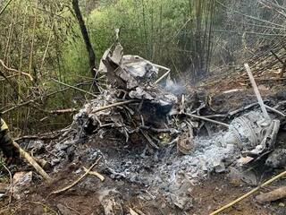 2 Pilots Killed After Cheetah Helicopter Crashes In Arunachal Pradesh: Army Officials