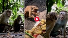 Bandar Ka Video: बंदर को दिखा दिया उसी का चेहरा, फिर जो हुआ बस हंसते चले जाएंगे | देखें ये वीडियो