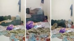 Bandar Ka Video: दरवाजा खोलकर सोने की गलती कर गया शख्स, बंदर ने घुसकर इतना मारा हिल गया बेचारा