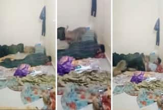 Bandar Ka Video: दरवाजा खोलकर सोने की गलती कर गया शख्स, बंदर ने घुसकर बहुत मारा