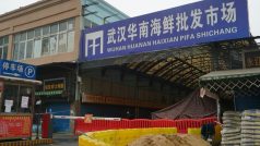 Raccoon Dogs At Wuhan Market Led To COVID Pandemic? WHO Accuses China Of Hiding Data