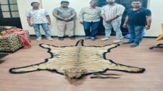 रॉयल बंगाल टाइगर की खाल और काले हिरण के सींगों का जोड़ा कोलकाता में जब्त
